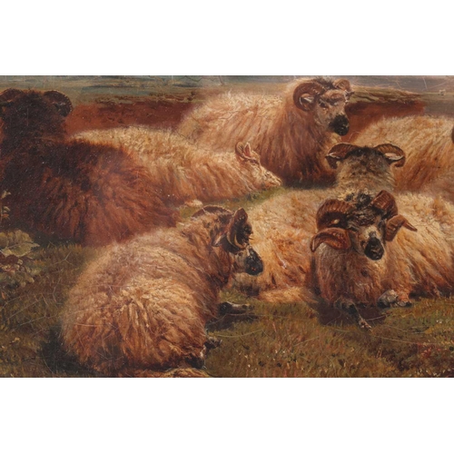 36 - William Watson Jnr. (1831 - 1921), Sheep and Cattle by riverbanks, a pair, signed and dated 1889, fr... 