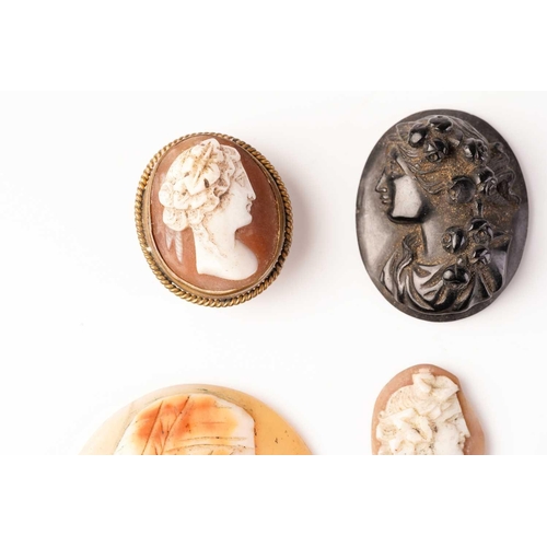 378 - Twelve various cameos, one mounted as a button, and two other stone mounts, largest item 5 x 4cm (14... 