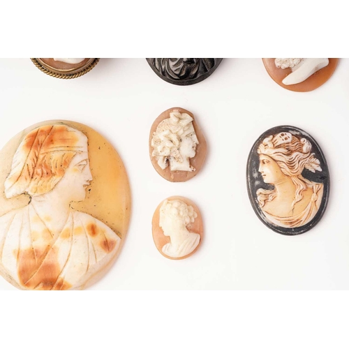 378 - Twelve various cameos, one mounted as a button, and two other stone mounts, largest item 5 x 4cm (14... 