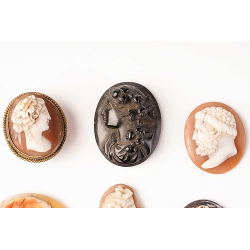 378 - Twelve various cameos, one mounted as a button, and two other stone mounts, largest item 5 x 4cm (14... 