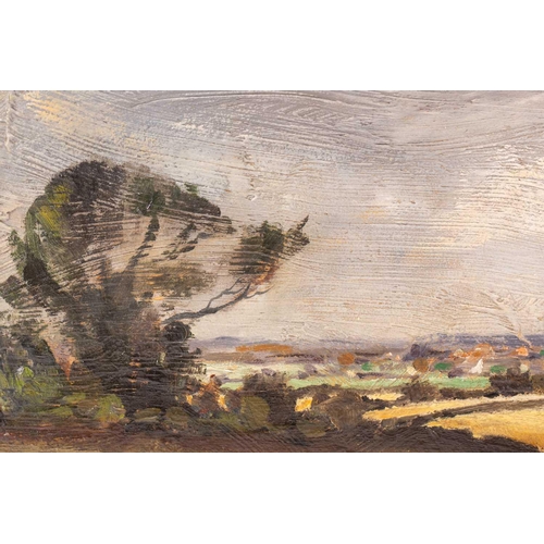 54 - † Attributed to Edward Seago RWS RBA (1910-1974) British, a rural landscape, probably Norfolk, unsig... 