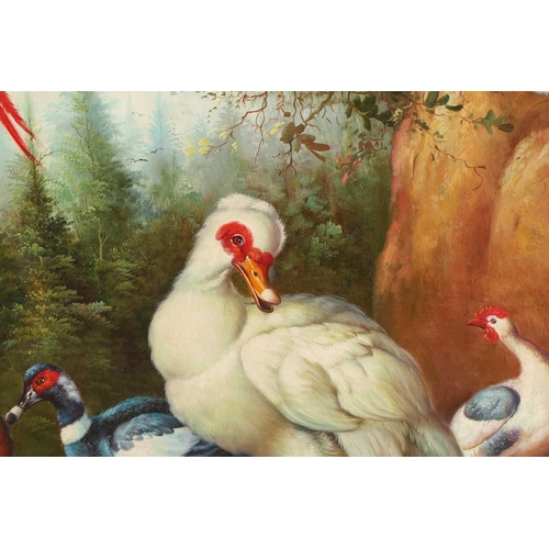 58 - 20th-century school, assorted birds in a forest landscape, large oil on canvas, indistinctly signed,... 