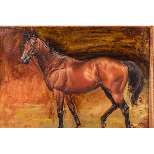 76 - † Susan Crawford (b.1941), Portait of the racehorse Constans, signed, oil on panel, framed, 45 cm x ... 