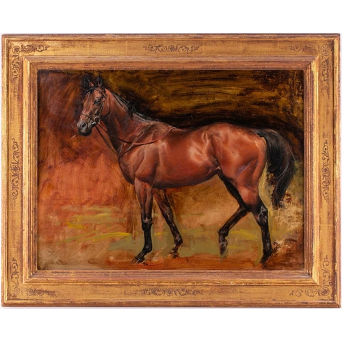 76 - † Susan Crawford (b.1941), Portait of the racehorse Constans, signed, oil on panel, framed, 45 cm x ... 