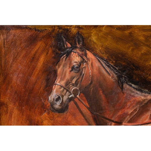 76 - † Susan Crawford (b.1941), Portait of the racehorse Constans, signed, oil on panel, framed, 45 cm x ... 