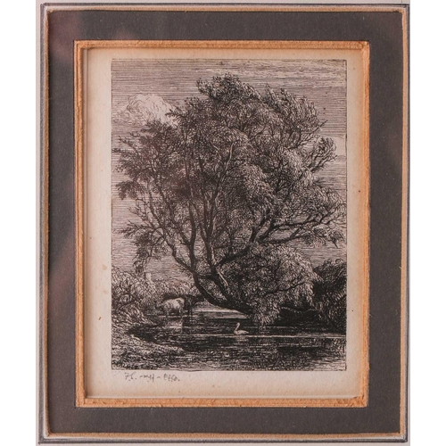 127 - Samuel Palmer (1805 - 1881), The Willow, probationary plate under election to the Etching Club 1850,... 