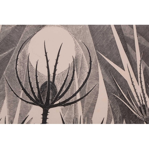 137 - † Monica Poole (1921 – 2003) Teasels, original wood engraving, 1968, number 10 from an edition of 50... 