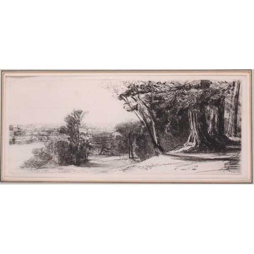 157 - Francis Seymour Haden (1818 - 1910), 'Early Morning Richmond Park', drypoint etching, inscribed with... 