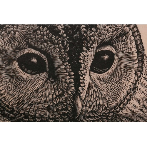 164 - † Charles Frederick Tunnicliffe (1901 - 1979) Owl, wood engraving, signed in pencil, number 2 of 50,... 