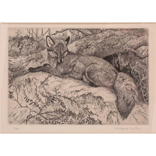 190 - Winifred Austin (1876 – 1964) 'Fox', etching, titled in pencil, plate 16cm x 23.5cm & 'The Doormouse... 