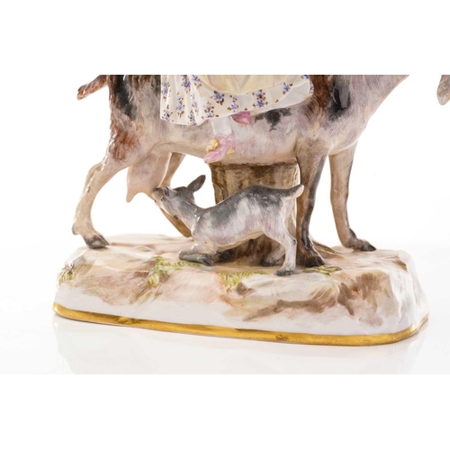 443 - A Meissen figure of the Welsh Tailor`s wife riding goat, the baby and kid feeding from their mother'... 