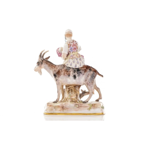 443 - A Meissen figure of the Welsh Tailor`s wife riding goat, the baby and kid feeding from their mother'... 