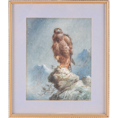 46 - Edward Neale (1833 - 1904), Falcon seated on an rocky outcrop, signed and dated, watercolour, framed... 