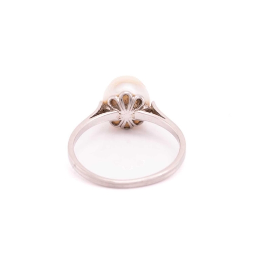 36 - A pearl solitaire ring, featuring a natural pearl of 7.1 x 7.3 x 8.5 mm, set in a flower mount, to a... 