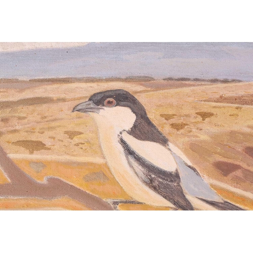 15 - Oliver Heywood (British 1920-1992) 'Fiscal Shrike, Menengai', oil on canvas, signed and dated 1979, ... 