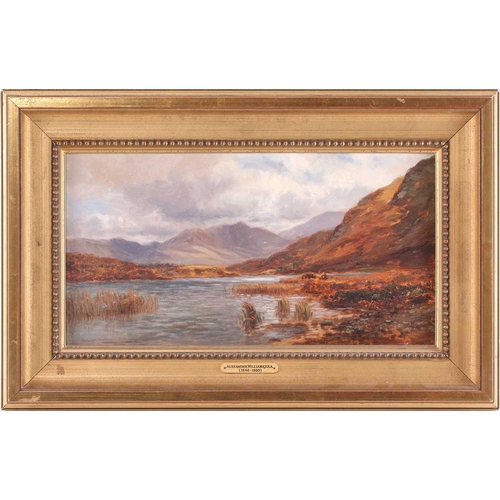 47 - Alexander Williams RHA (1846-1930) Irish, lake and mountain landscape, oil on board, signed to lower... 