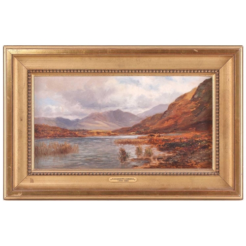 47 - Alexander Williams RHA (1846-1930) Irish, lake and mountain landscape, oil on board, signed to lower... 