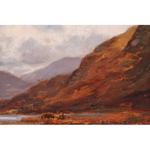 47 - Alexander Williams RHA (1846-1930) Irish, lake and mountain landscape, oil on board, signed to lower... 