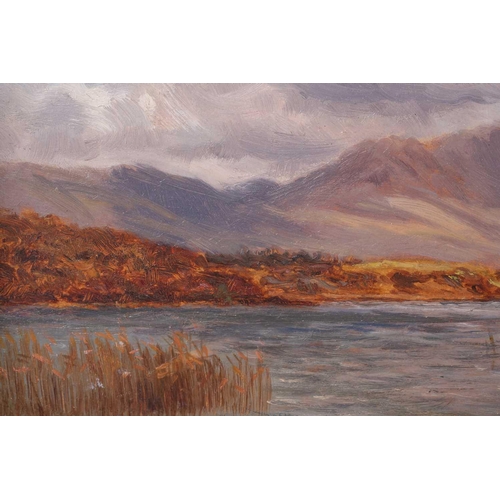 47 - Alexander Williams RHA (1846-1930) Irish, lake and mountain landscape, oil on board, signed to lower... 