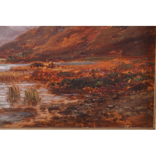 47 - Alexander Williams RHA (1846-1930) Irish, lake and mountain landscape, oil on board, signed to lower... 