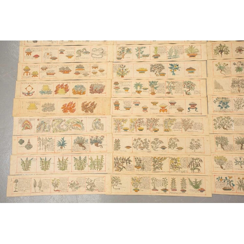 98 - A Tibetan medical manuscript rKyang-sel, early - mid 20th century, comprising ninety hand drawn and ... 