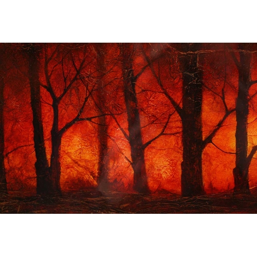 12 - † Kerry Darlington (b.1974), a forest landscape, mixed media and resin on board, signed to bottom ri... 