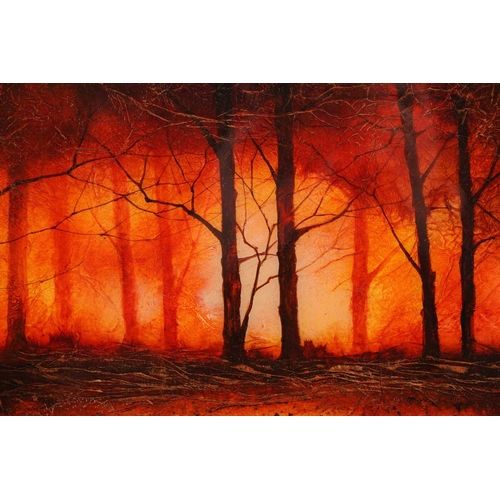 12 - † Kerry Darlington (b.1974), a forest landscape, mixed media and resin on board, signed to bottom ri... 