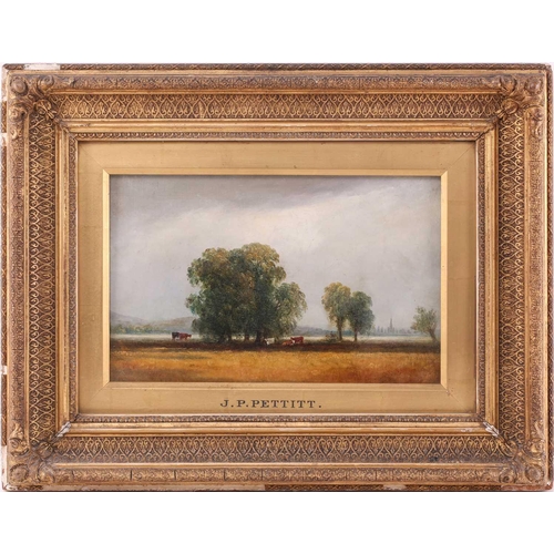 15 - Manner of Joseph Paul Pettitt (1812 - 1882), cattle grazing beneath a tree, a town in the distant, u... 