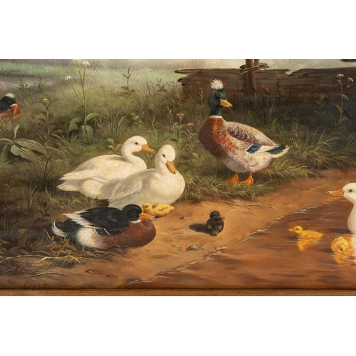 40 - After Constant Artz (1870 - 1951), Ducks at a pond, bears signature C. Artz, oil on board, 38 x 48 c... 