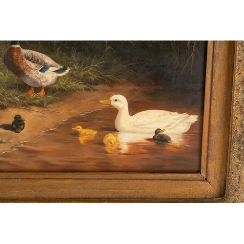 40 - After Constant Artz (1870 - 1951), Ducks at a pond, bears signature C. Artz, oil on board, 38 x 48 c... 