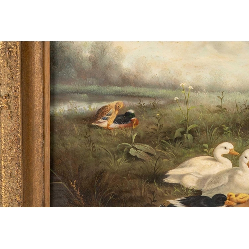 40 - After Constant Artz (1870 - 1951), Ducks at a pond, bears signature C. Artz, oil on board, 38 x 48 c... 