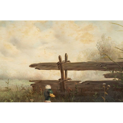 40 - After Constant Artz (1870 - 1951), Ducks at a pond, bears signature C. Artz, oil on board, 38 x 48 c... 