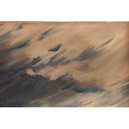 17 - Eilidh Barnardo (1911-1994), Deluge in the Desert, Morocco (1968-69), signed verso, oil on canvas, 3... 