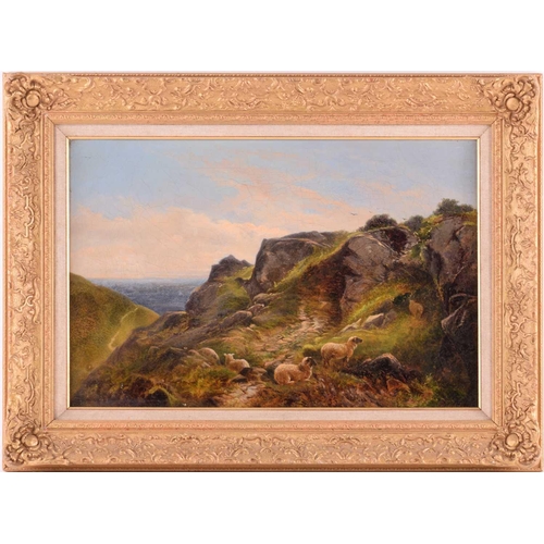 71 - George Vicat Cole (1833-1893), Sheep on a Hillside, signed, oil on canvas, 30 x 45cm, framed, frame ... 