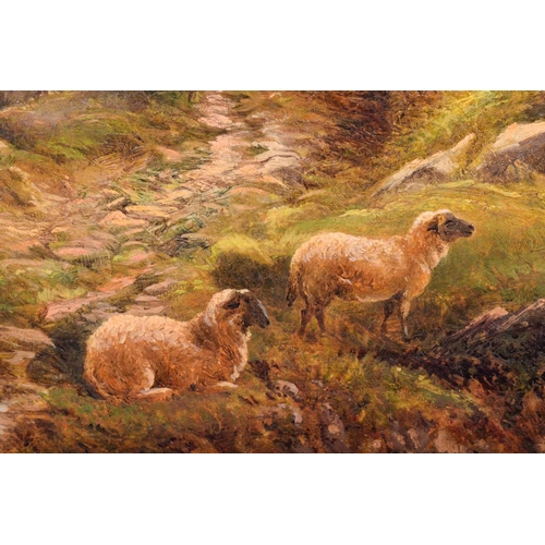 71 - George Vicat Cole (1833-1893), Sheep on a Hillside, signed, oil on canvas, 30 x 45cm, framed, frame ... 