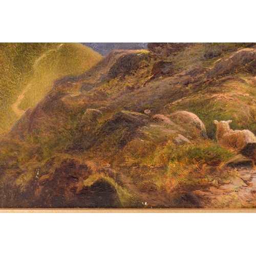 71 - George Vicat Cole (1833-1893), Sheep on a Hillside, signed, oil on canvas, 30 x 45cm, framed, frame ... 