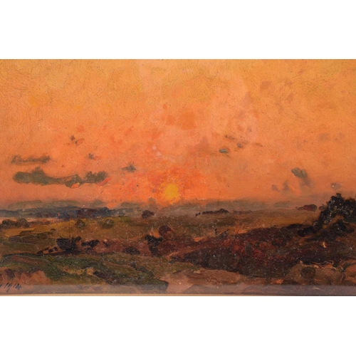 119 - Frederick George Cotman RI. ROI. (British, 1850-1920), 'Yellow Sunset with Red Weed in Foreground', ... 