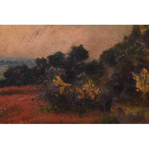 119 - Frederick George Cotman RI. ROI. (British, 1850-1920), 'Yellow Sunset with Red Weed in Foreground', ... 