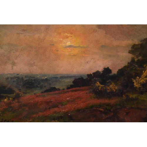 119 - Frederick George Cotman RI. ROI. (British, 1850-1920), 'Yellow Sunset with Red Weed in Foreground', ... 