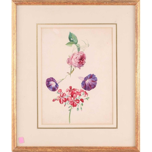 173 - Emily Stannard (1802 - 1885), 'Flower Studies - Rose, Convolvulus & Geranium', 'Bellea Donna Lily', ... 