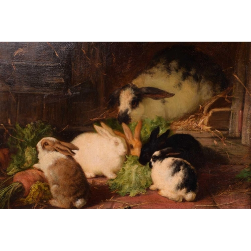 230 - Thomas William Earl (fl.1836-1885), Family of Rabbits, signed, oil on canvas, 49 x 50.5 cm, framed, ... 