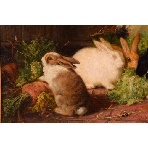 230 - Thomas William Earl (fl.1836-1885), Family of Rabbits, signed, oil on canvas, 49 x 50.5 cm, framed, ... 