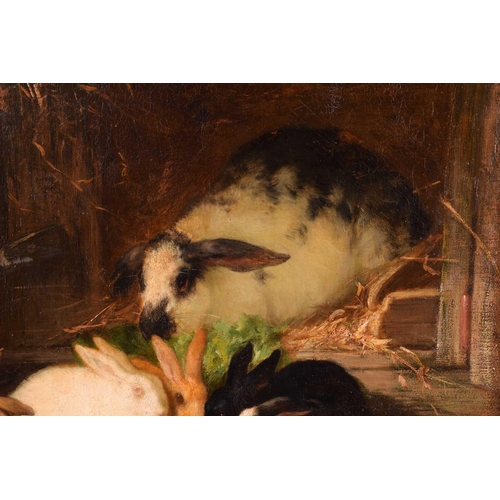 230 - Thomas William Earl (fl.1836-1885), Family of Rabbits, signed, oil on canvas, 49 x 50.5 cm, framed, ... 