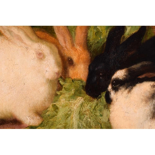 230 - Thomas William Earl (fl.1836-1885), Family of Rabbits, signed, oil on canvas, 49 x 50.5 cm, framed, ... 