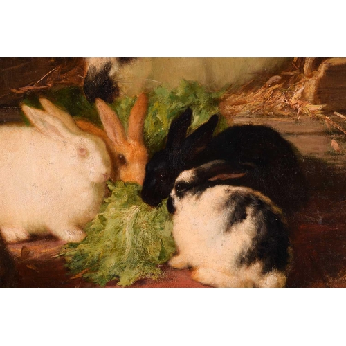 230 - Thomas William Earl (fl.1836-1885), Family of Rabbits, signed, oil on canvas, 49 x 50.5 cm, framed, ... 