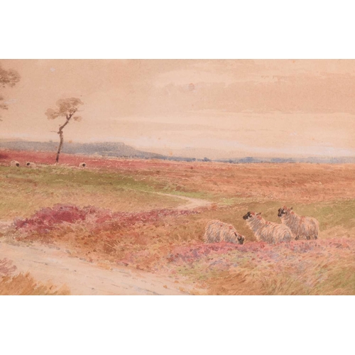 237 - Thomas Mackay (1851-1920), 'Potato Gatherers', signed and dated 1906, watercolour, 15.5. x 25 cm, fr... 