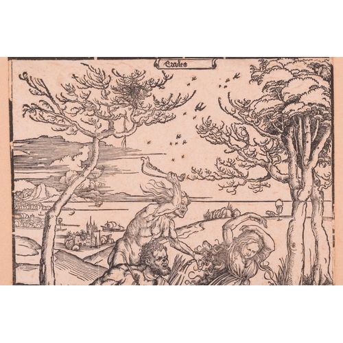 282 - After Albrecht Dürer, Hercules Conquering Cacus, woodcut, 39 x 28 cm, framed and glazed, frame 55 x ... 