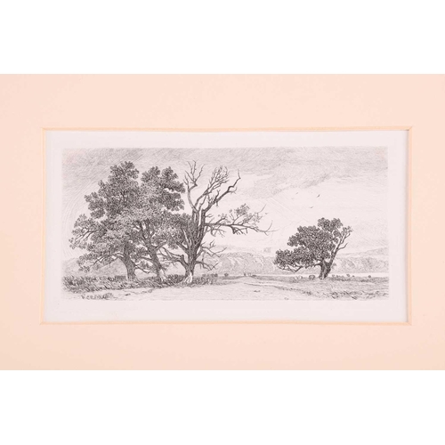 33 - Miles Edmund Cotman (British, 1810-1858), five etchings, 'Postwich Grove near Norwich', 'Alder Carr'... 