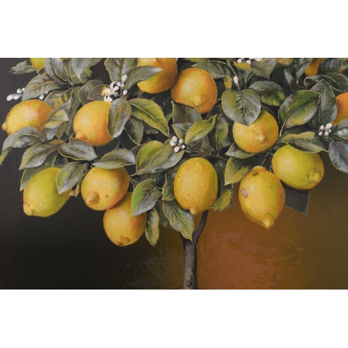 103 - † José Escofet (b.1930) Spanish, Lemon and Orange Trees, a pair of limited edition prints, signed an... 