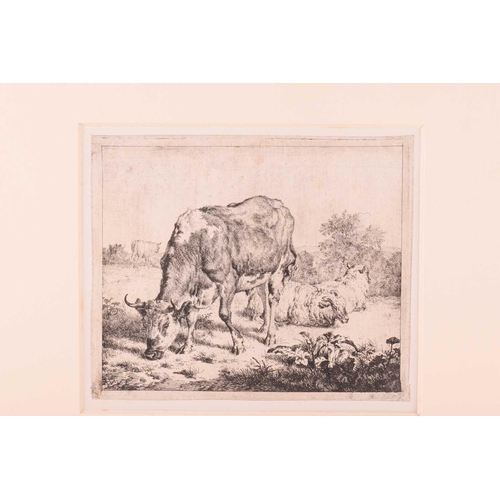 108 - Karel Dujardin (1626-1678) Dutch, three small etchings, studies of sheep, each circa 8 cm x 10 cm, t... 